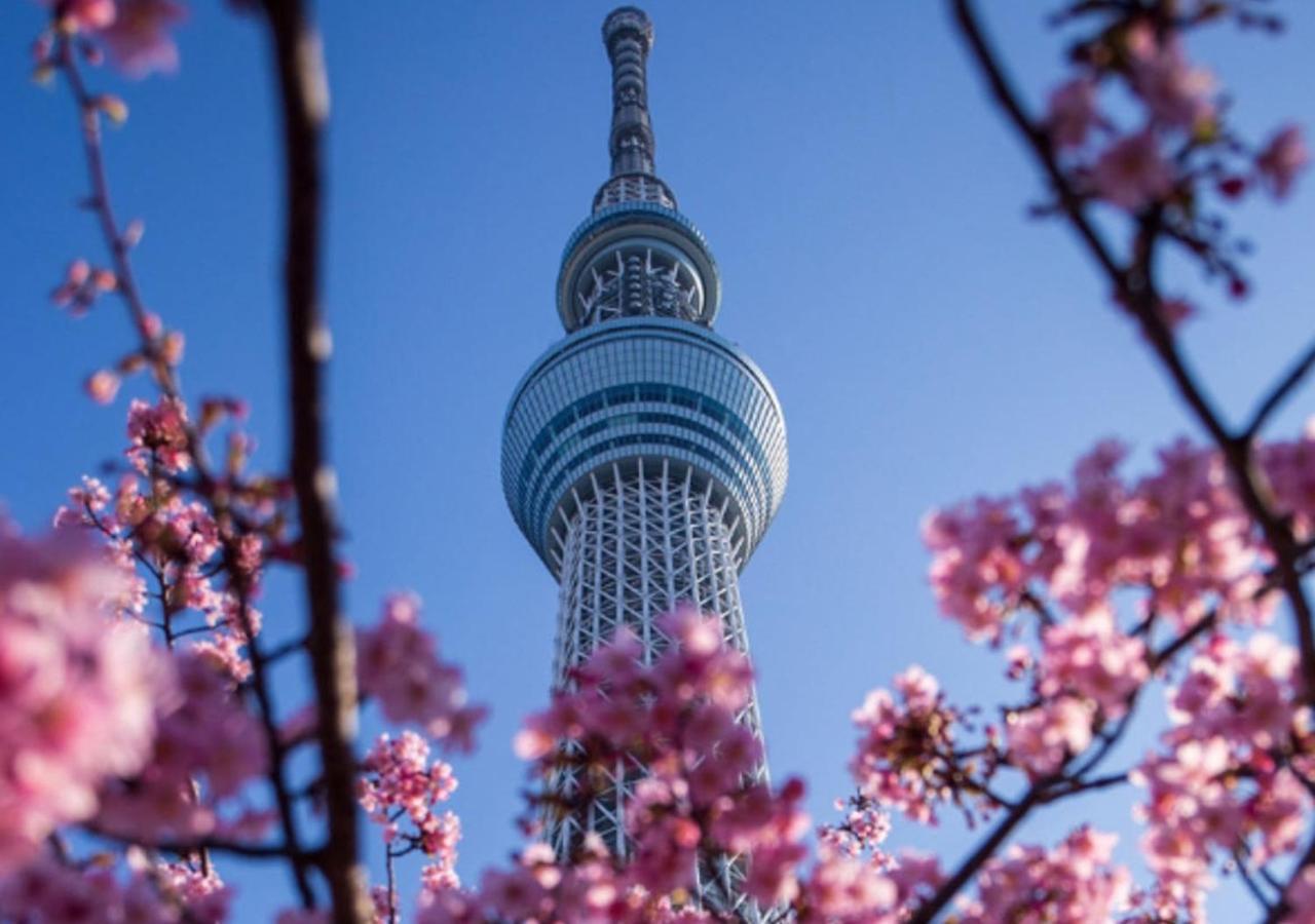 Apartmán Japan House Oshiage Prefektura Tokio Exteriér fotografie